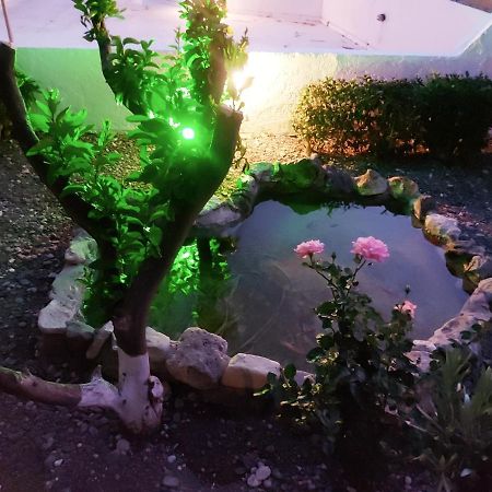 فندق Aegean Pearl Tigaki المظهر الخارجي الصورة